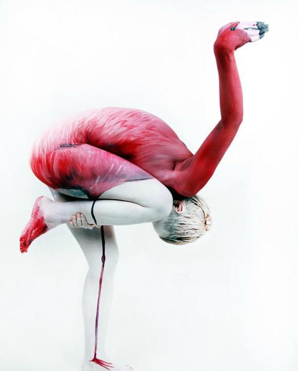 The Human Flamingo