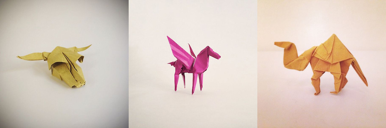 365 days origami by Ross Symons