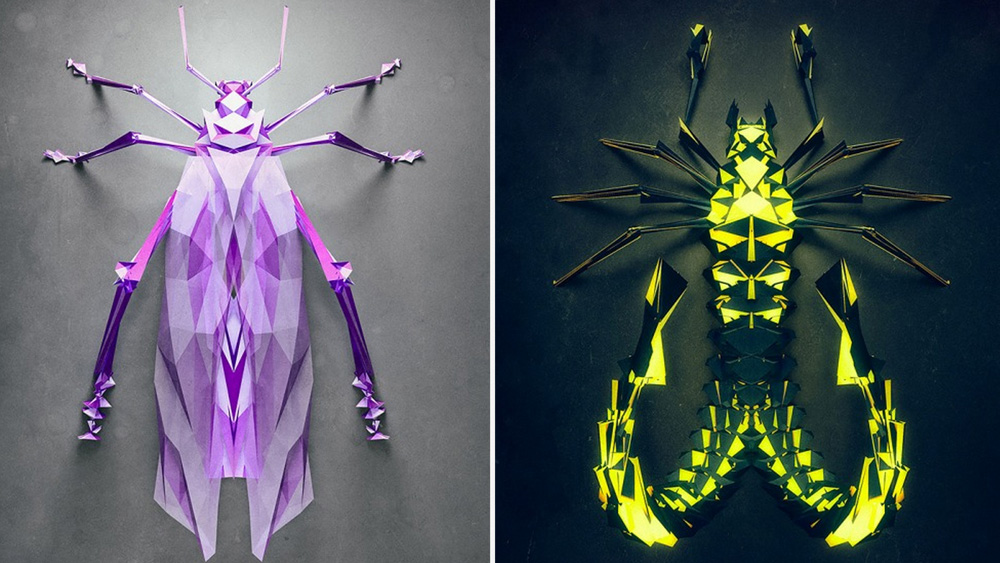 Geometric Insects