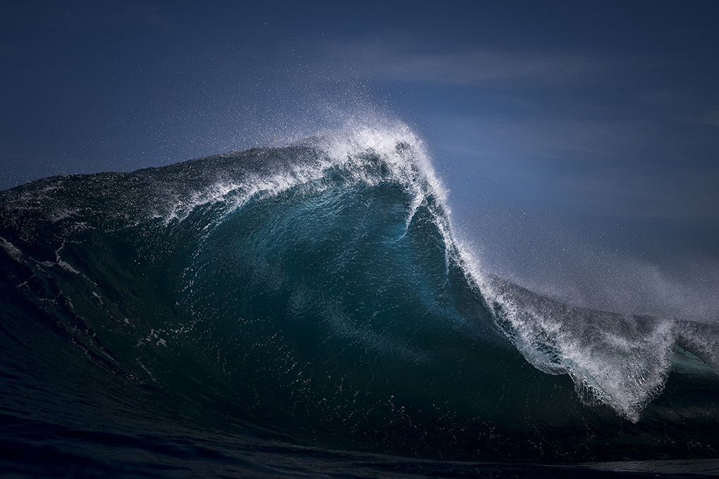 Fang - Ray Collins