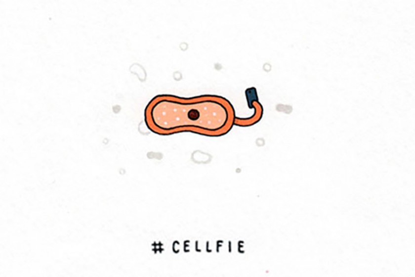 Cellfie by Jaco Haasbroek