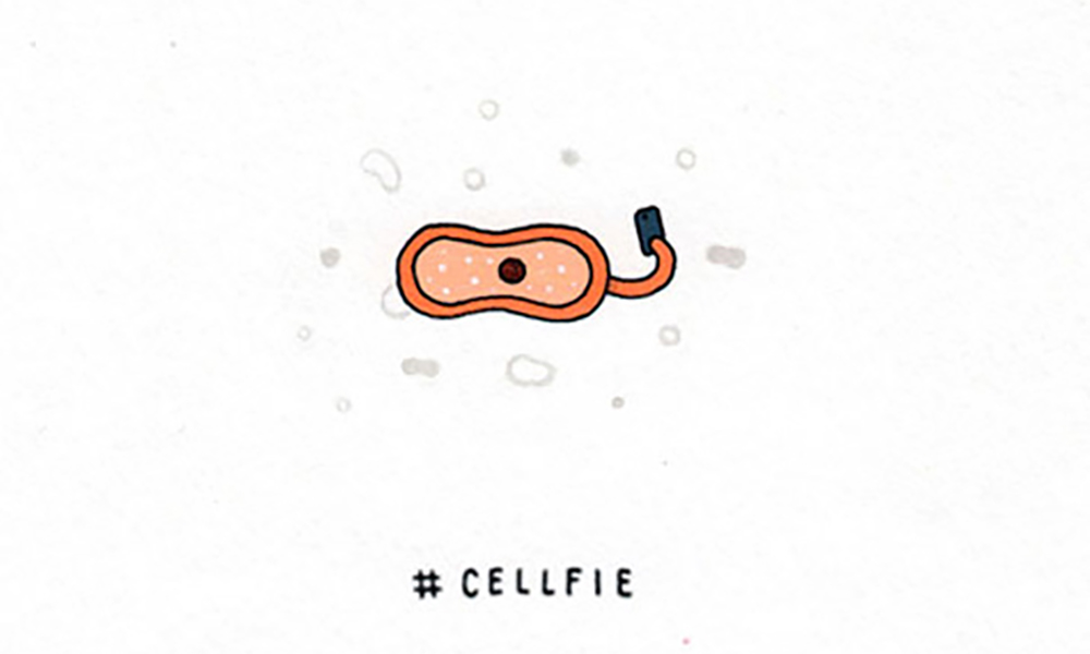 Cellfie by Jaco Haasbroek